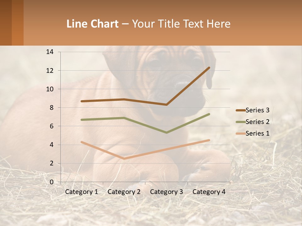 Buy Garden Sky PowerPoint Template