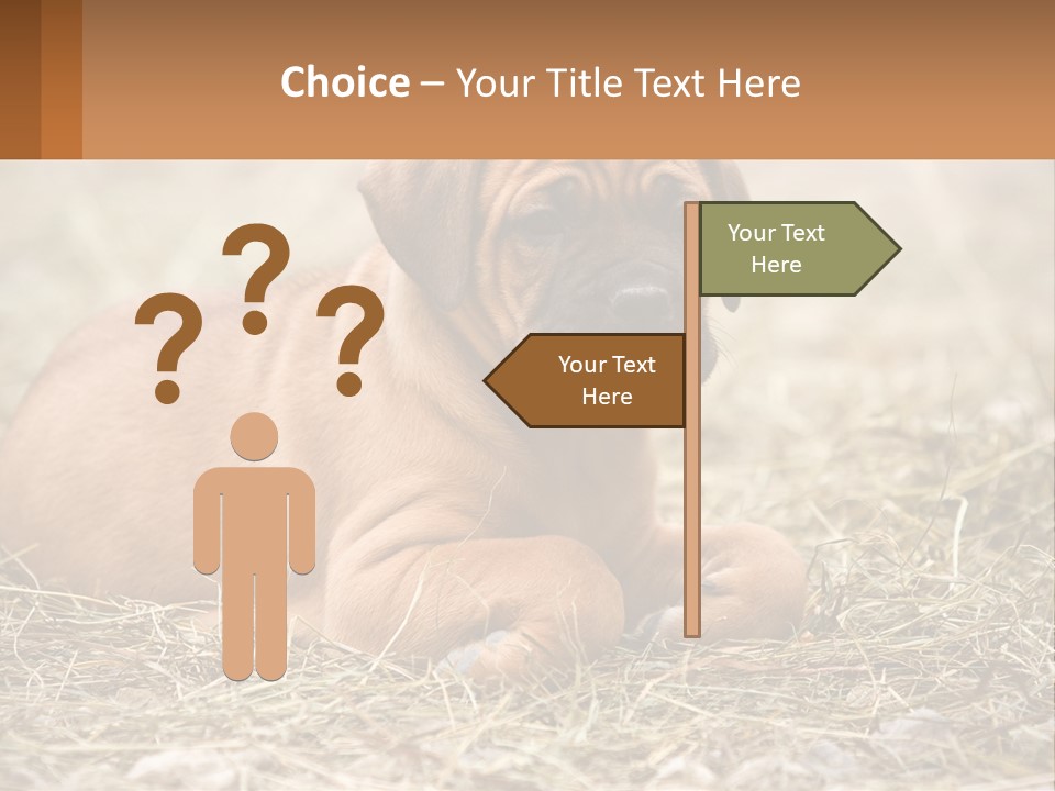 Buy Garden Sky PowerPoint Template