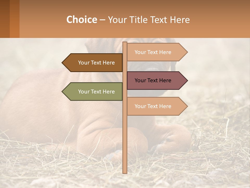 Buy Garden Sky PowerPoint Template