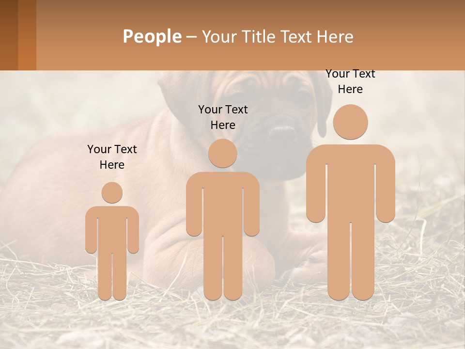 Buy Garden Sky PowerPoint Template