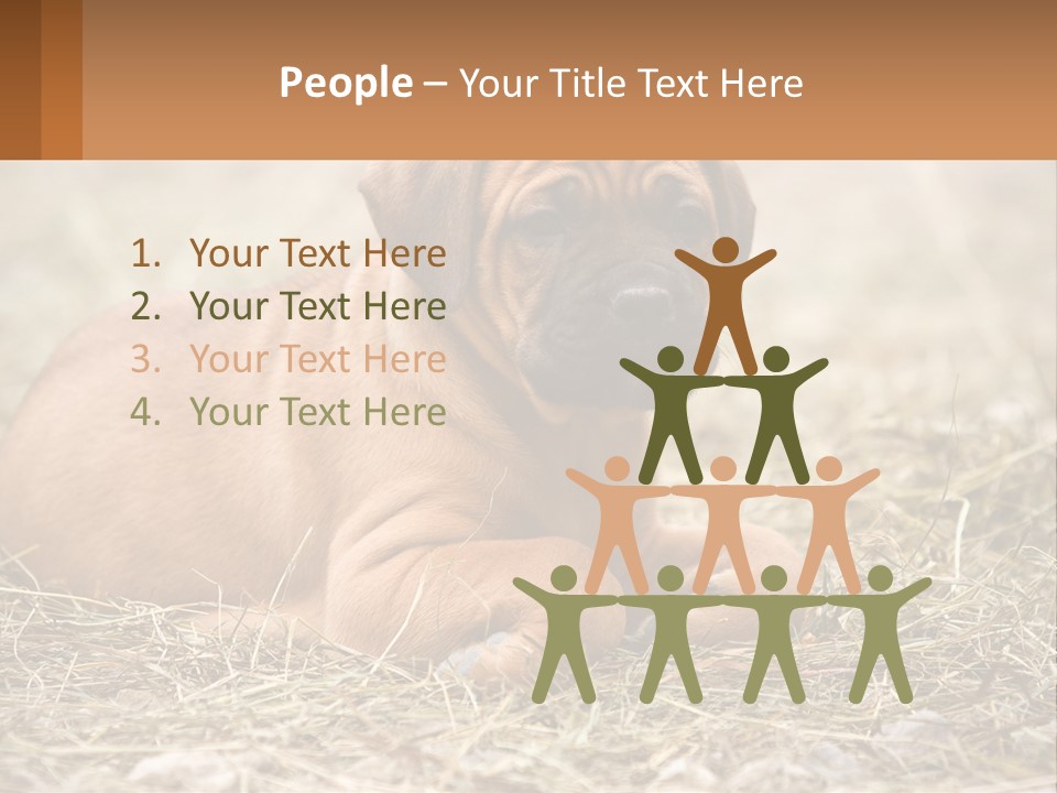 Buy Garden Sky PowerPoint Template