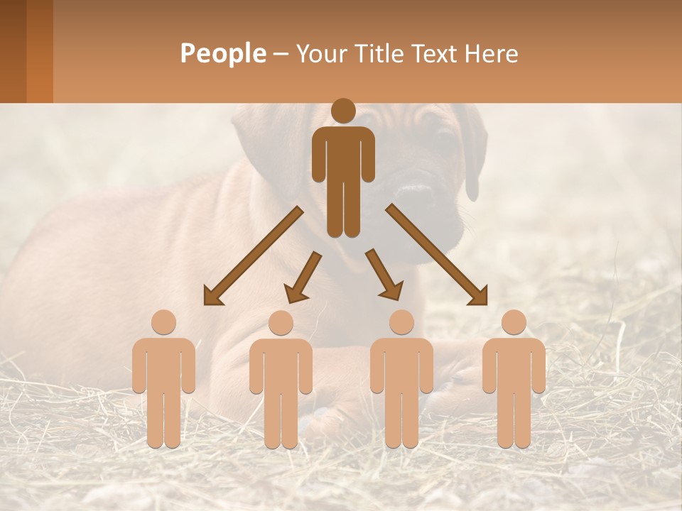 Buy Garden Sky PowerPoint Template