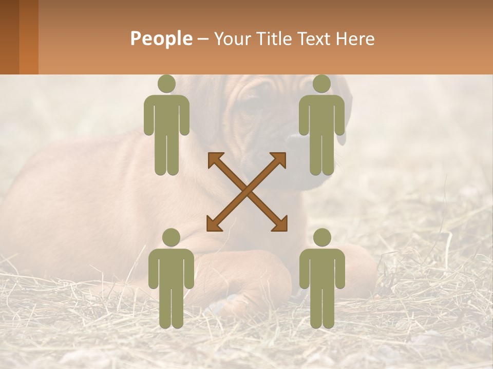 Buy Garden Sky PowerPoint Template