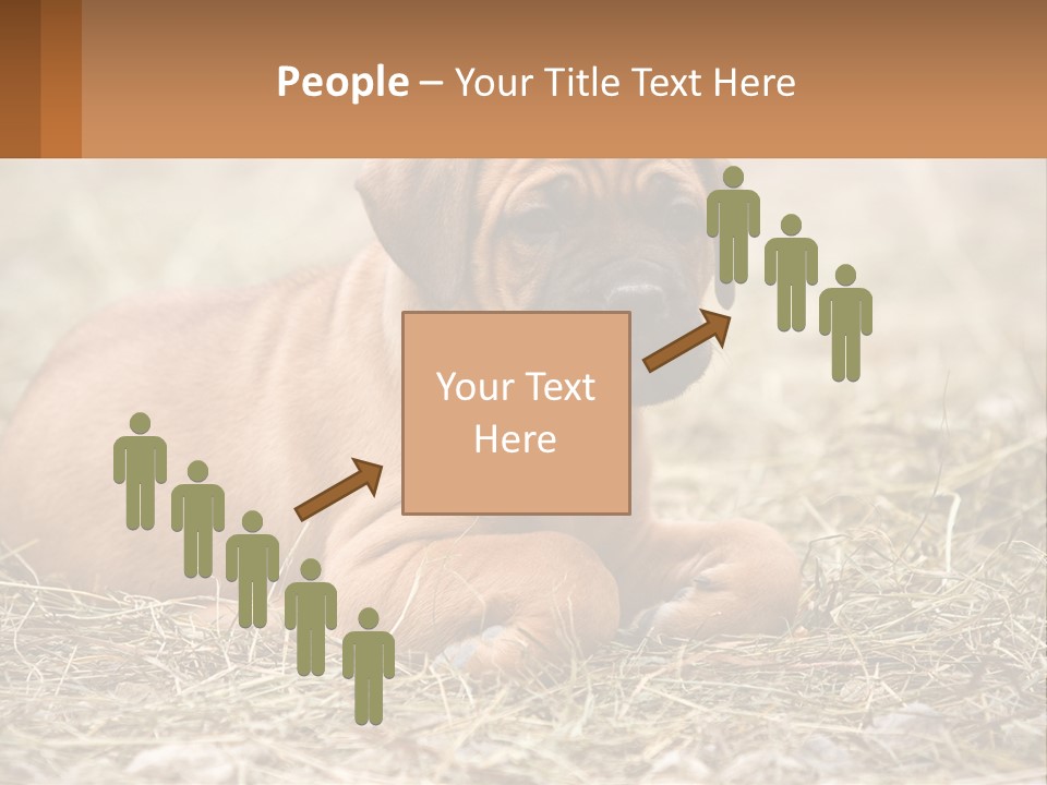 Buy Garden Sky PowerPoint Template