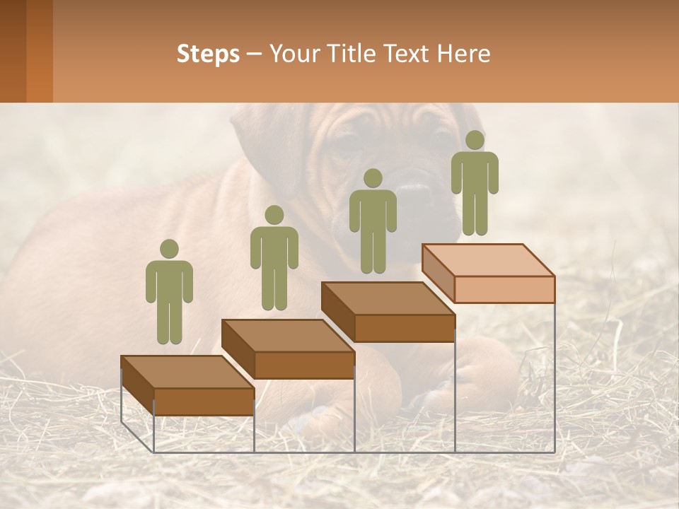 Buy Garden Sky PowerPoint Template