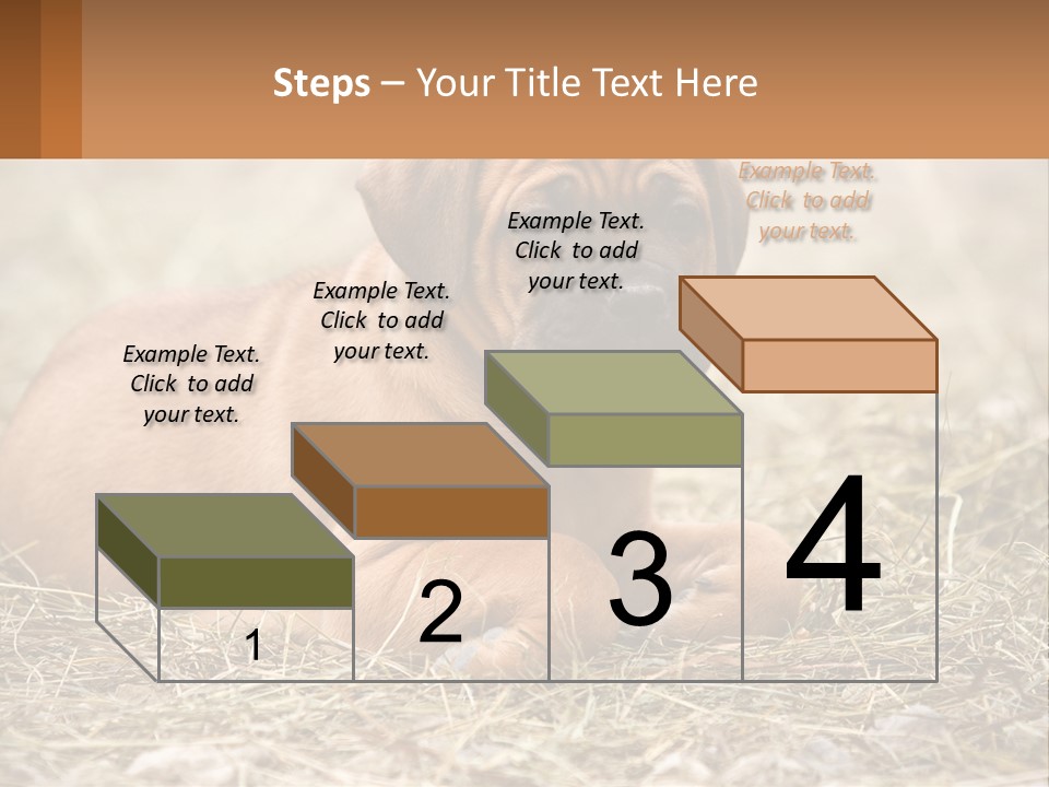 Buy Garden Sky PowerPoint Template