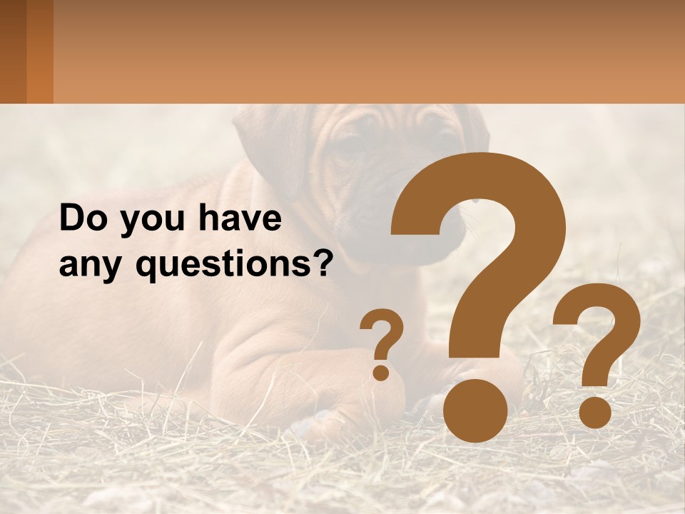 Buy Garden Sky PowerPoint Template