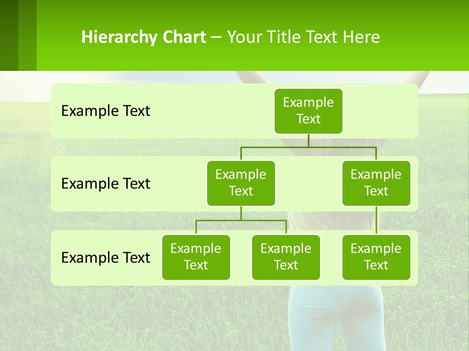 Lawn Architecture Background PowerPoint Template
