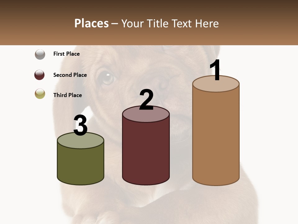 Construction Green Residential PowerPoint Template