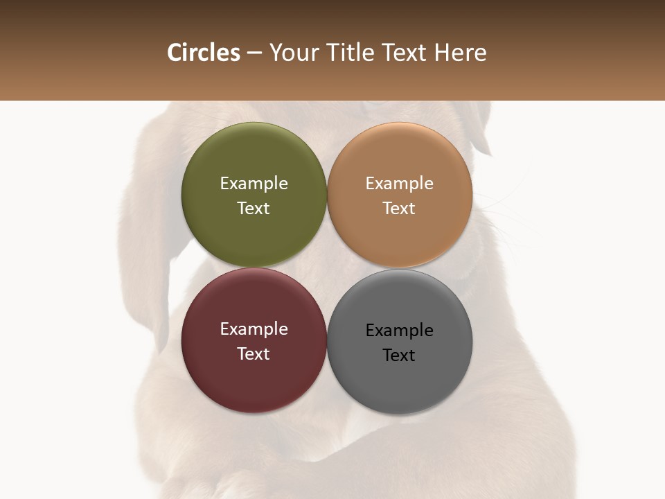 Construction Green Residential PowerPoint Template