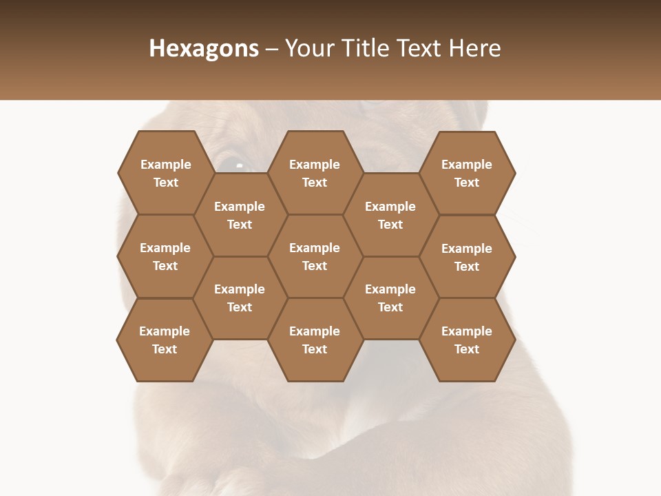 Construction Green Residential PowerPoint Template