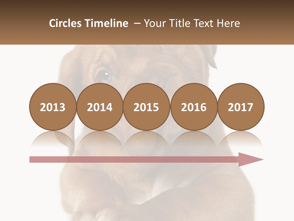 Construction Green Residential PowerPoint Template