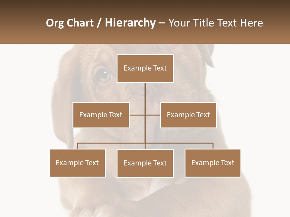 Construction Green Residential PowerPoint Template