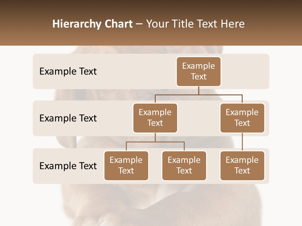 Construction Green Residential PowerPoint Template