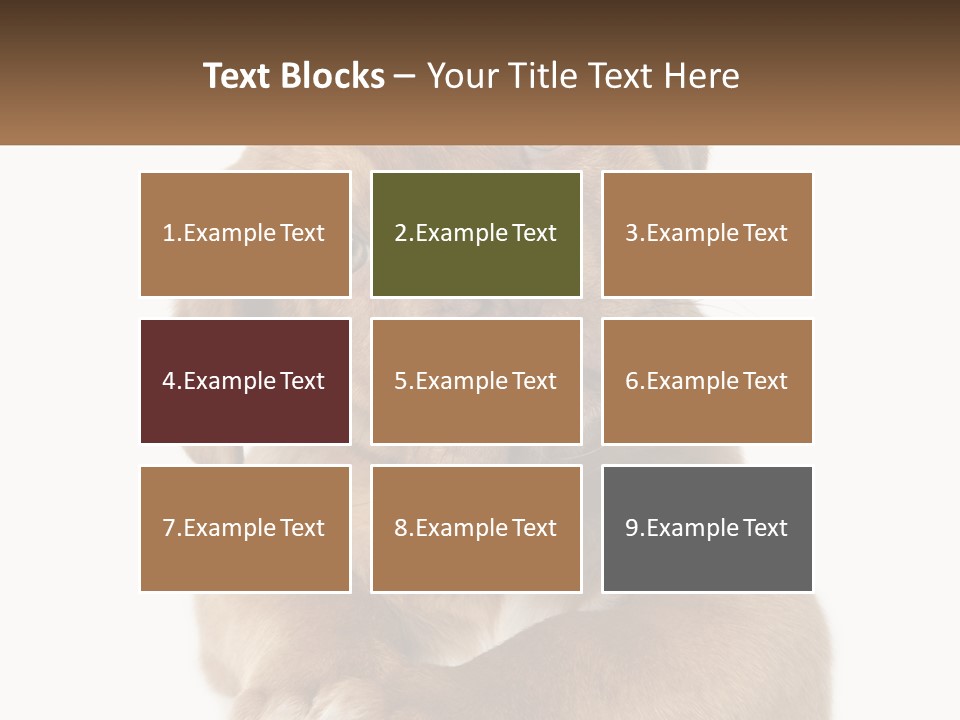 Construction Green Residential PowerPoint Template