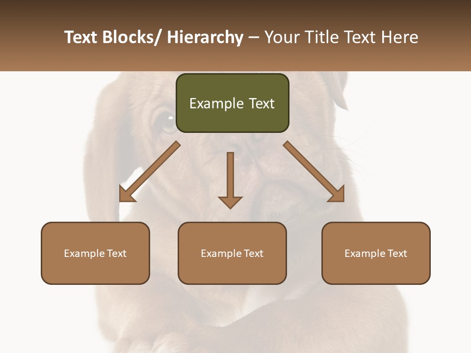 Construction Green Residential PowerPoint Template
