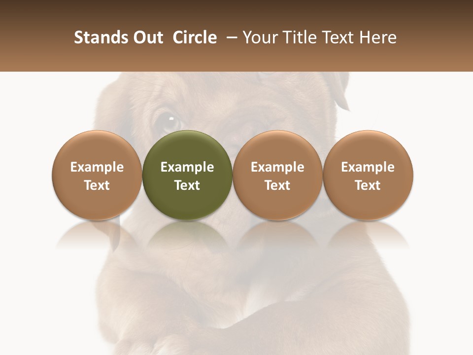 Construction Green Residential PowerPoint Template