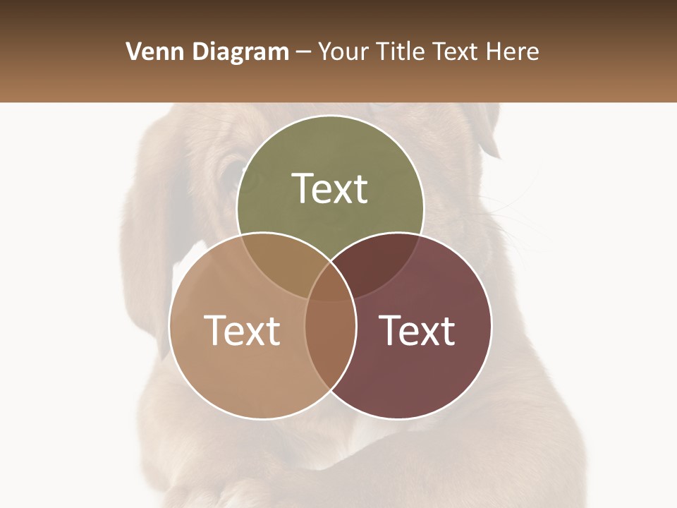 Construction Green Residential PowerPoint Template