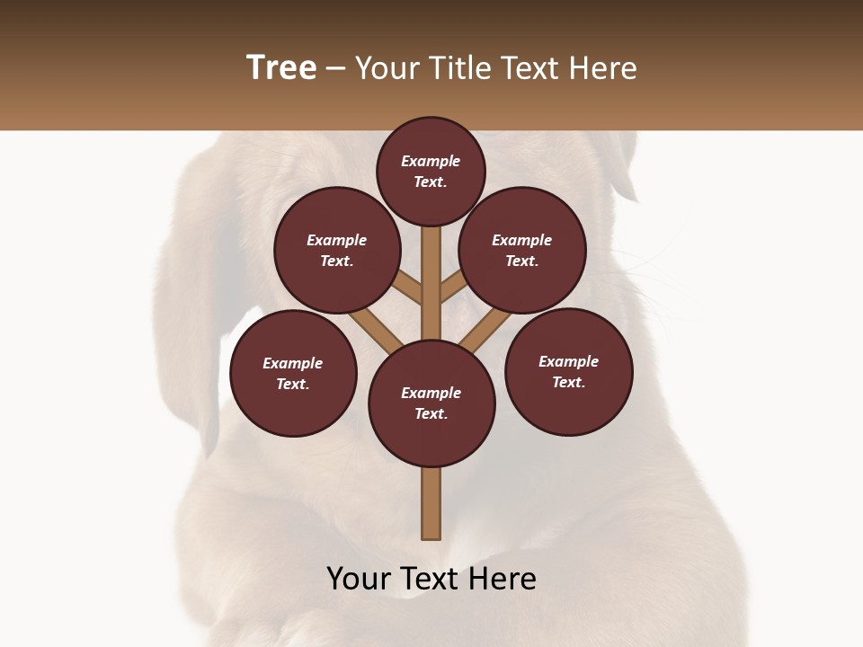 Construction Green Residential PowerPoint Template