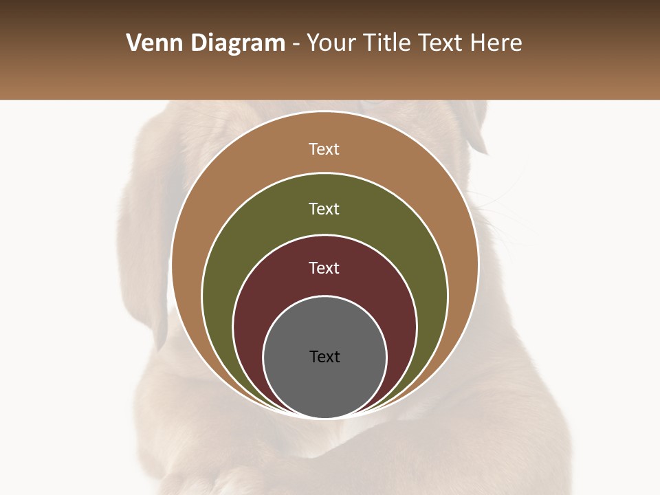 Construction Green Residential PowerPoint Template