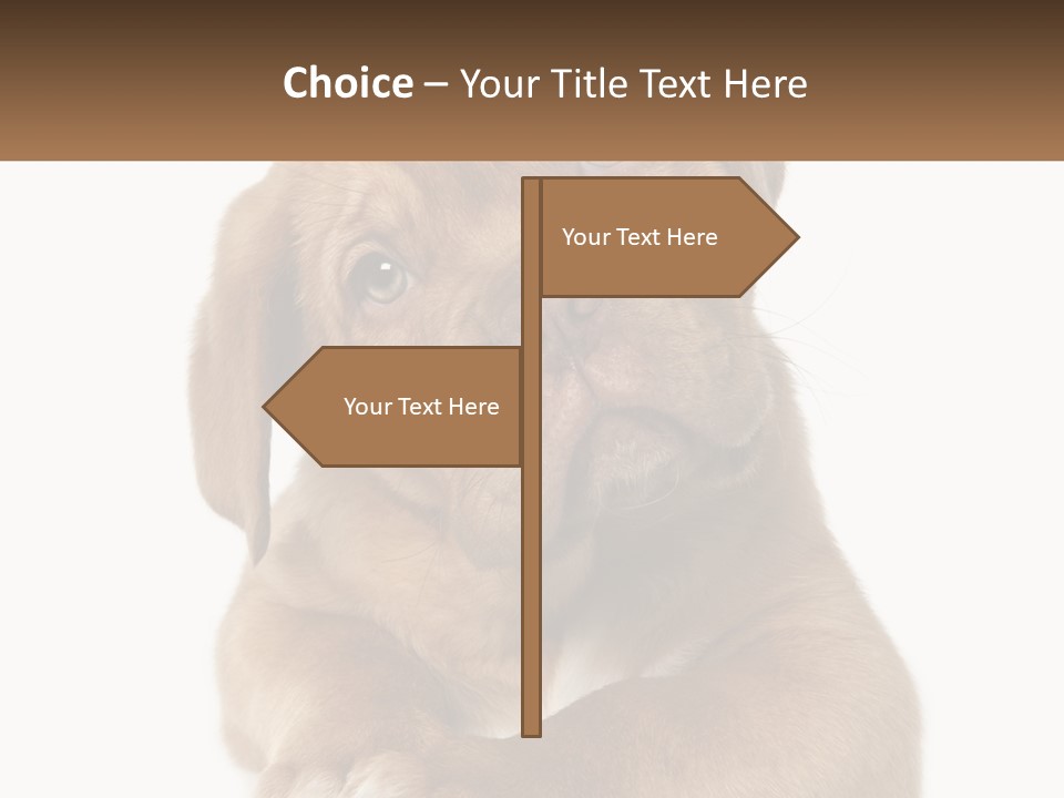 Construction Green Residential PowerPoint Template