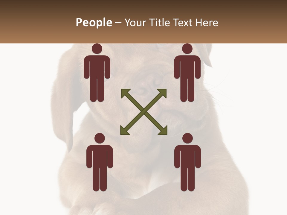 Construction Green Residential PowerPoint Template