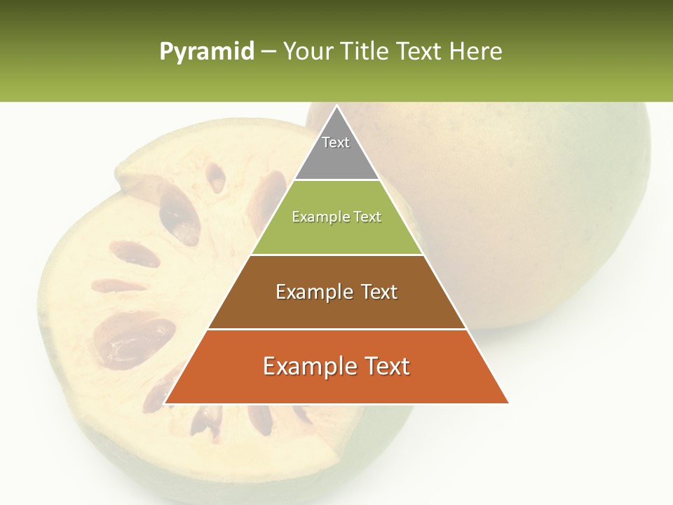 Rent Holding Investment PowerPoint Template