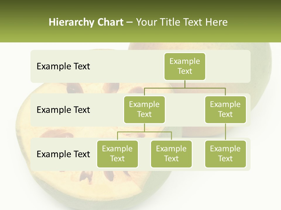 Rent Holding Investment PowerPoint Template