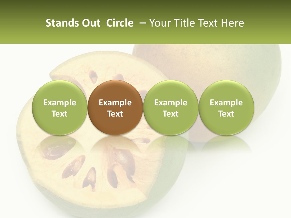 Rent Holding Investment PowerPoint Template