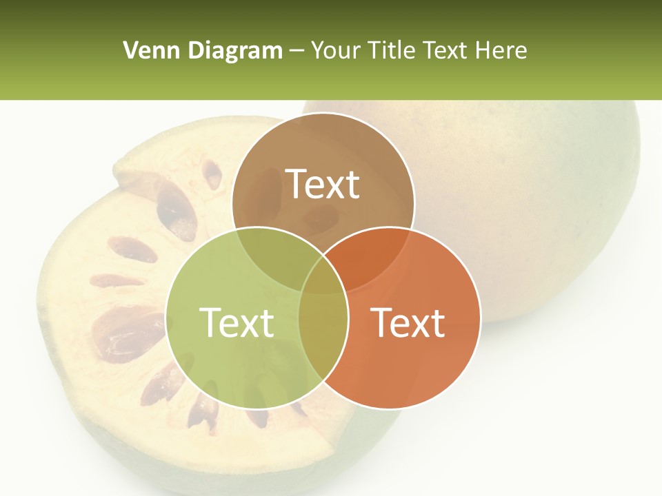 Rent Holding Investment PowerPoint Template