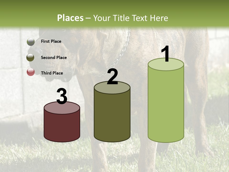 Made Residential Grass PowerPoint Template