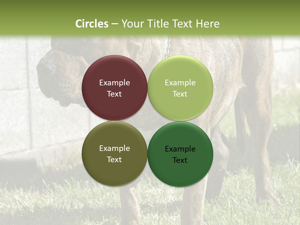 Made Residential Grass PowerPoint Template