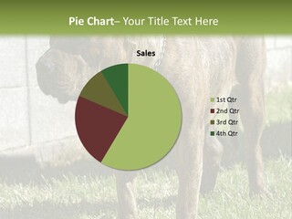 Made Residential Grass PowerPoint Template