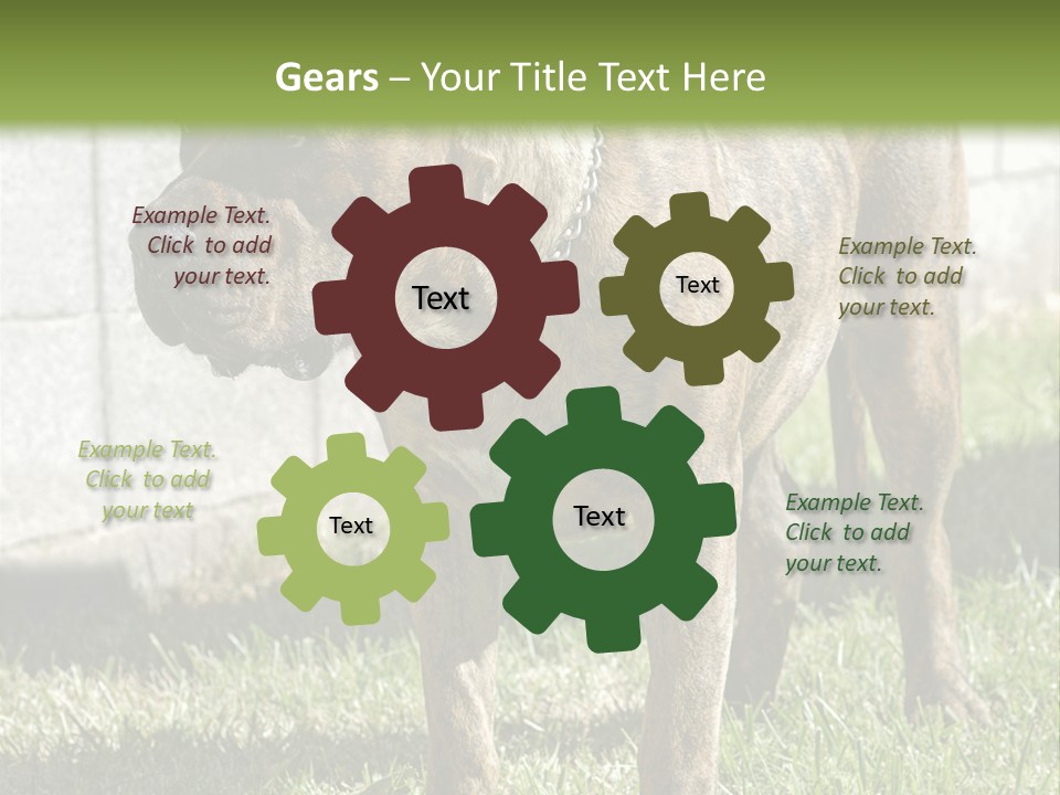 Made Residential Grass PowerPoint Template
