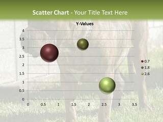 Made Residential Grass PowerPoint Template