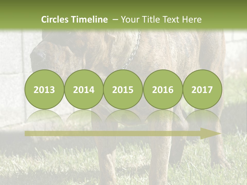 Made Residential Grass PowerPoint Template