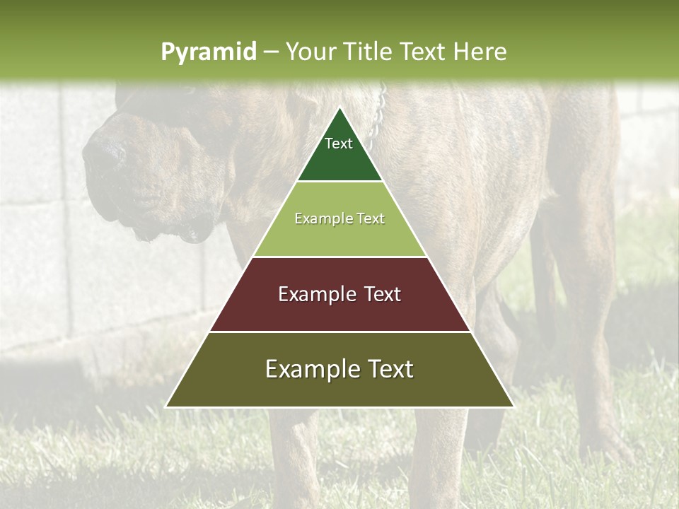 Made Residential Grass PowerPoint Template