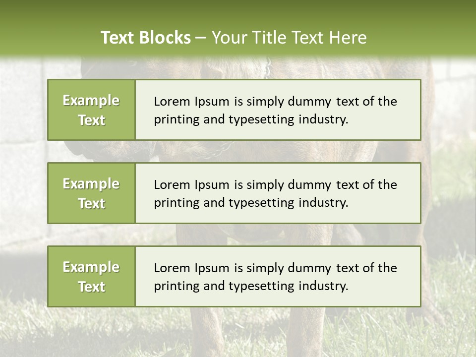 Made Residential Grass PowerPoint Template