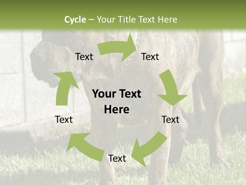 Made Residential Grass PowerPoint Template