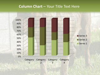 Made Residential Grass PowerPoint Template