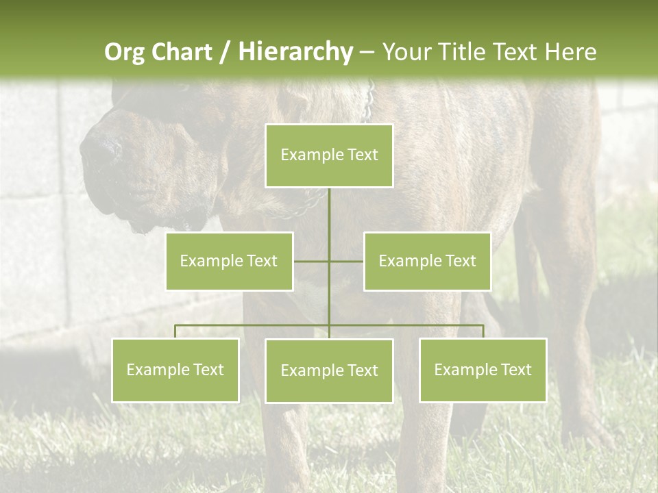 Made Residential Grass PowerPoint Template