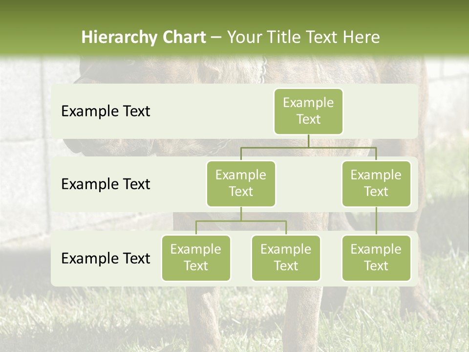 Made Residential Grass PowerPoint Template