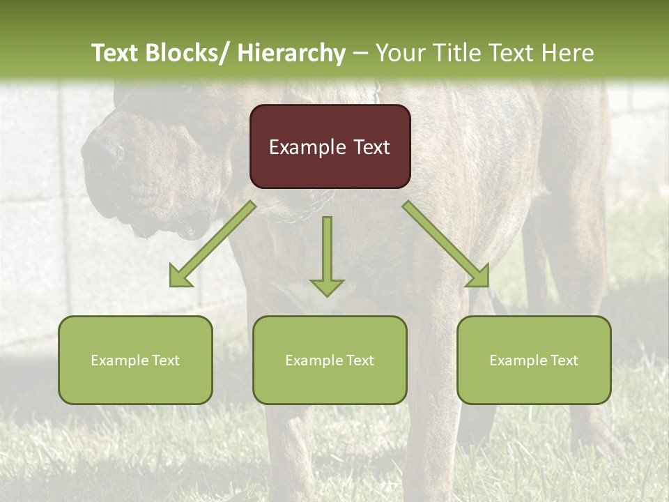 Made Residential Grass PowerPoint Template