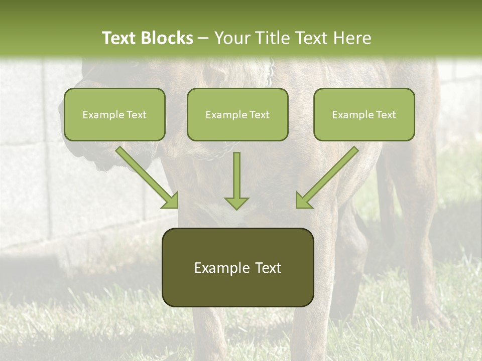 Made Residential Grass PowerPoint Template