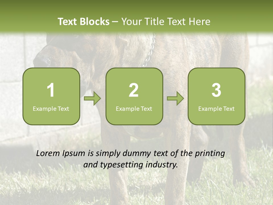Made Residential Grass PowerPoint Template