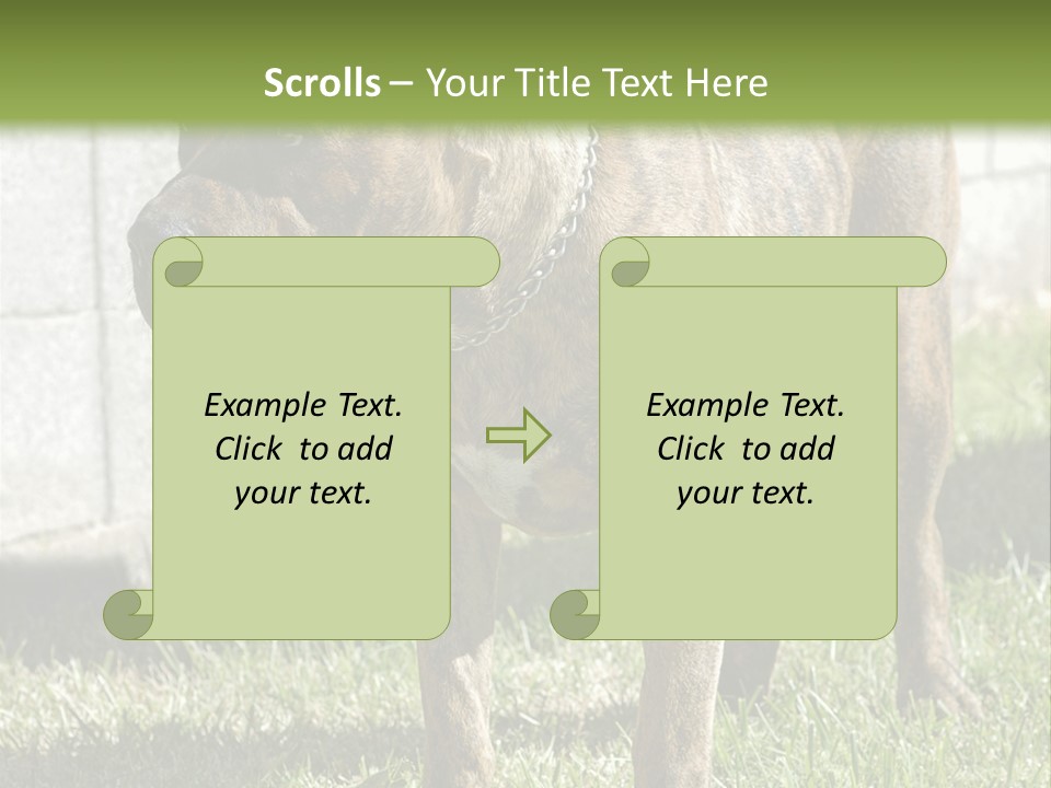 Made Residential Grass PowerPoint Template