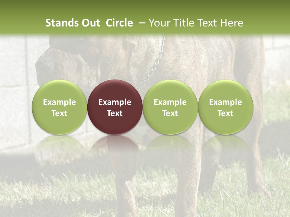 Made Residential Grass PowerPoint Template