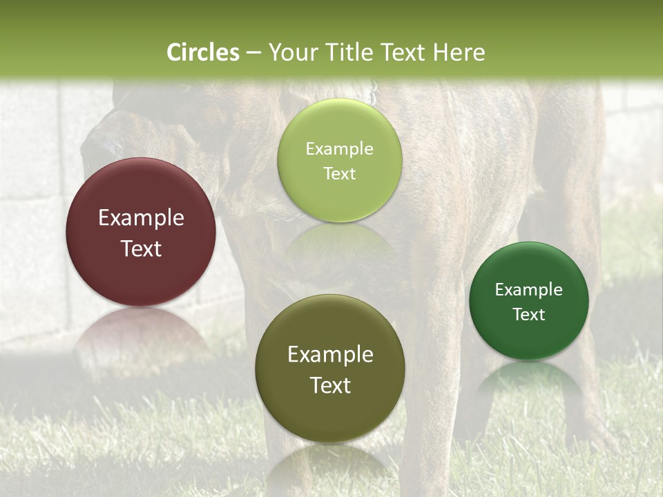 Made Residential Grass PowerPoint Template