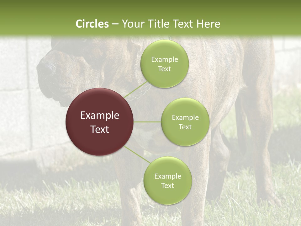 Made Residential Grass PowerPoint Template