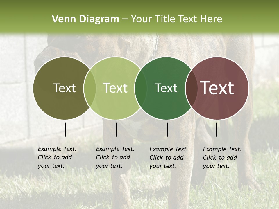 Made Residential Grass PowerPoint Template